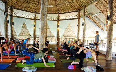 Chiang Mai Meditation