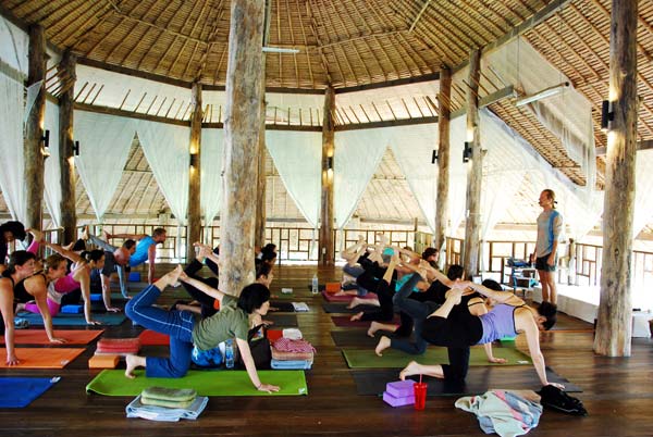 Chiang Mai Meditation