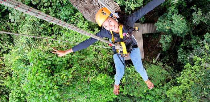 Flight of the Gibbon