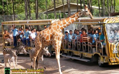 Chiang Mai Night Safari